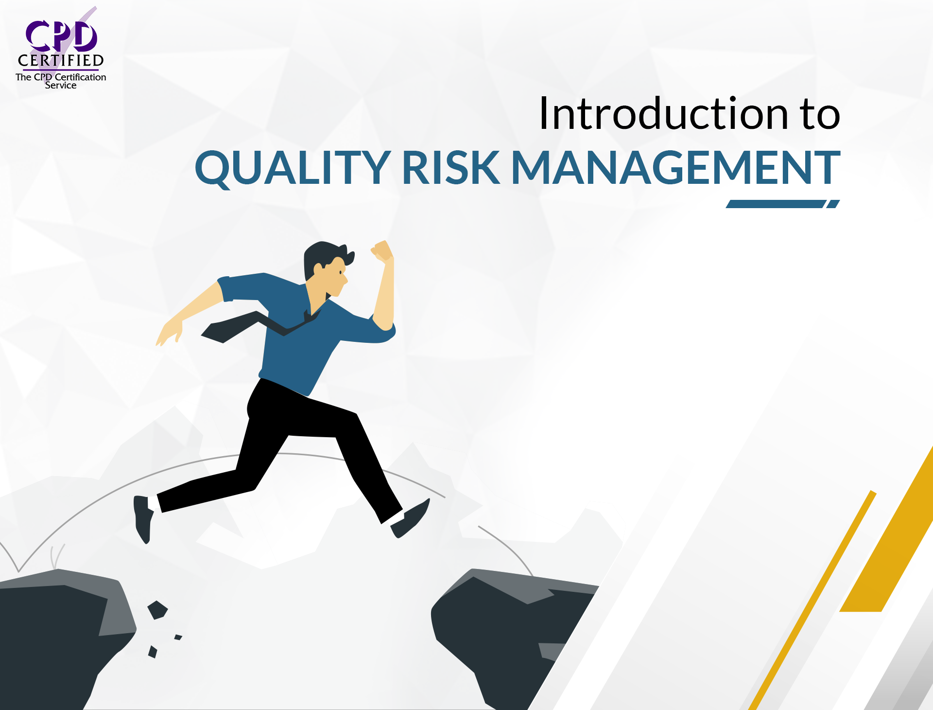 Introduction to Quality Risk Management