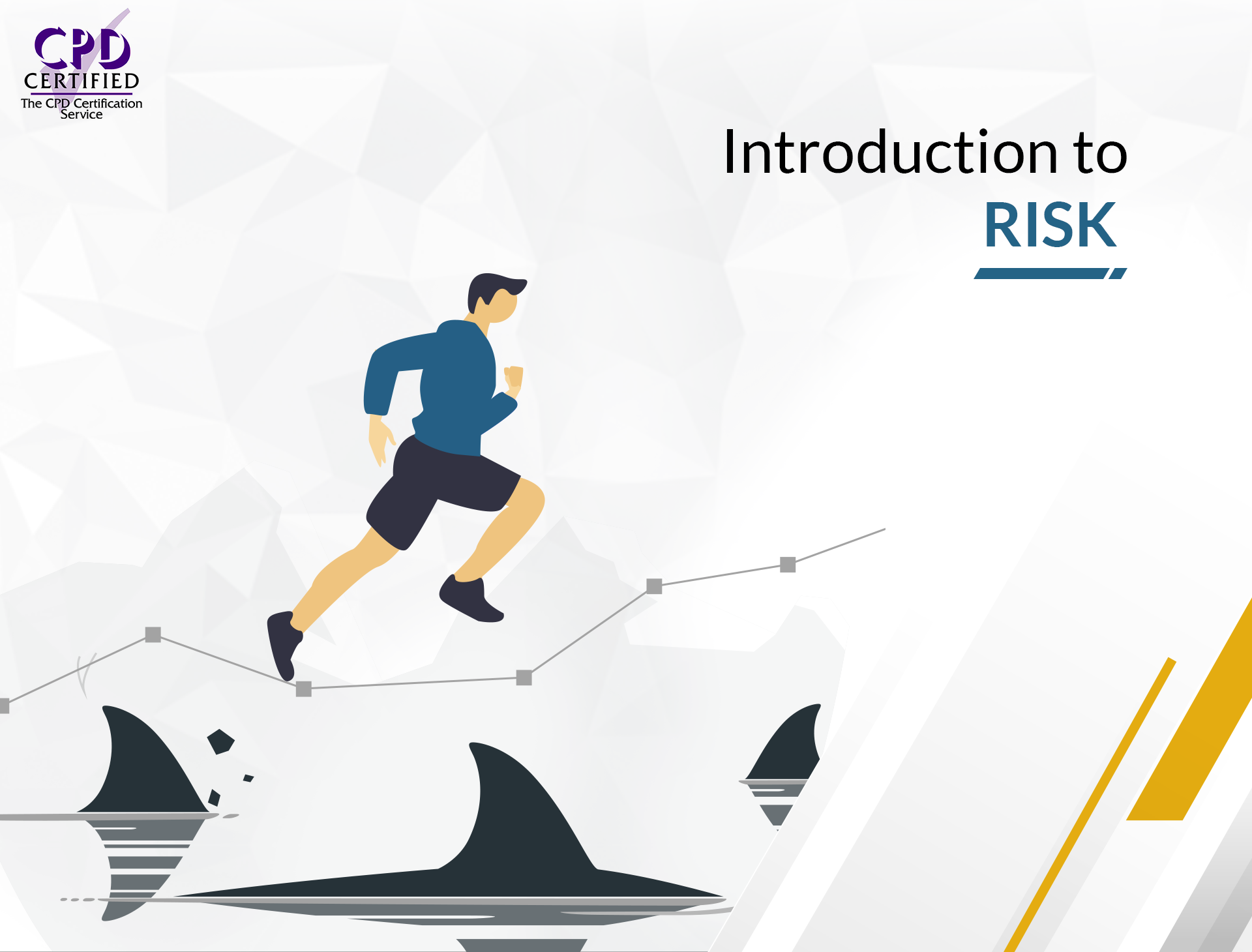Introduction to Risk